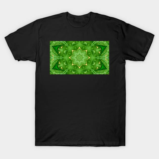 Golden Lotus Mandala T-Shirt by Edward L. Anderson 